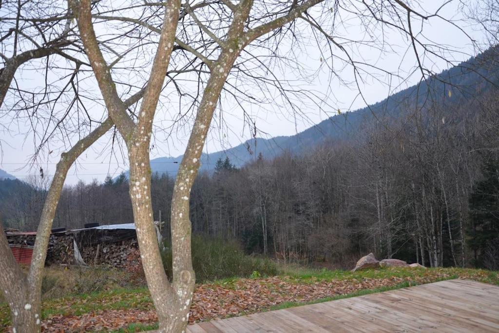Vila A La Cheneau Rochesson Exteriér fotografie